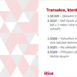 SAP Query Školení & Digitalizace výroby