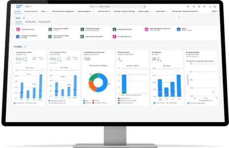 SAP 4 HANA náhled applikace