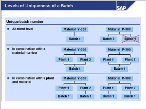 Batch management training SAP by Itica
